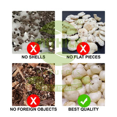 Classic Mithila Makhan Hand-Picked Makhana (200 g) Classic Mithila Makhan Hand-Picked Makhana (200 g)